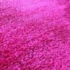Arizona State 5'x8' Rug
